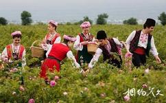 保加利亞玫瑰谷旅遊攻略之卡贊勒克玫瑰谷