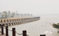 高唐双海湖旅游攻略之湿地栈道