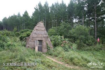 富錦五頂山國家森林公園-大姑娘山莊照片