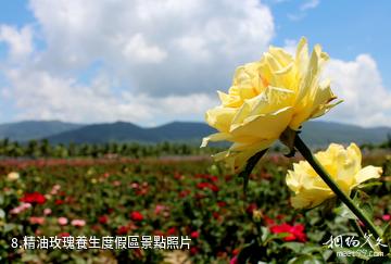 三亞亞龍灣國際玫瑰谷-精油玫瑰養生度假區照片