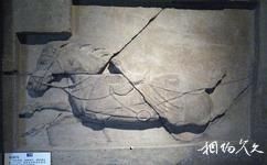 西安碑林博物館旅遊攻略之六駿浮雕