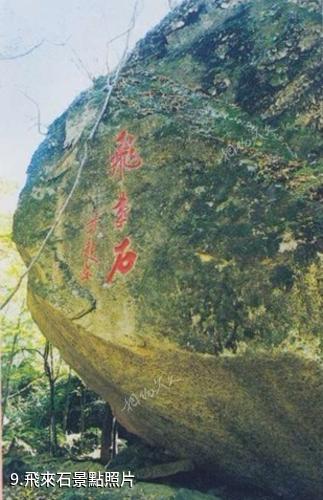 五女峰國家級森林公園-飛來石照片