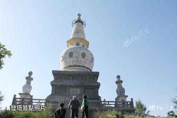 山丹南湖生態植物園-發塔照片