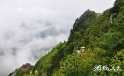 汉中天台森林公园旅游攻略之云海茫茫