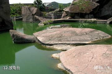宁波伍山石窟景区-放龟台照片