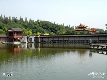 荆州江陵盆景园-长廊照片
