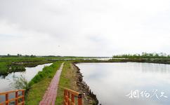 哈尔滨白鱼泡湿地公园旅游攻略之湿地