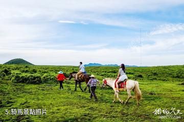 畢節百里杜鵑跳花坡景區-騎馬照片