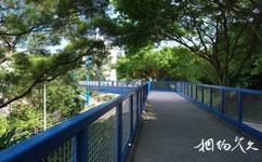 香港科技大学校园概况之山间小路
