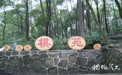 重庆歌乐山国家森林公园旅游攻略之棋苑