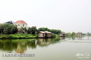 上海金龜島漁村-養生水景木屋照片