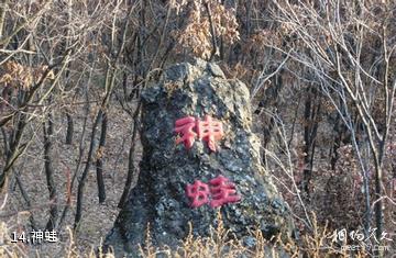 牡丹峰国家级自然保护区-神蛙照片