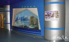 北京自然博物館旅遊攻略之《動物的奧秘》