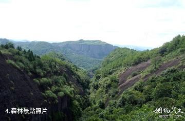 江西漢仙岩風景區-森林照片