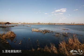 淮北南湖風景區-濕地照片