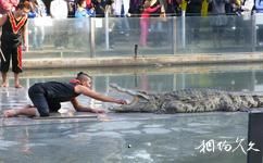 广州鳄鱼公园旅游攻略之鳄作剧