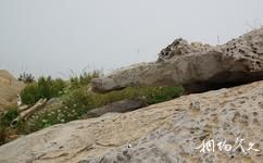 連雲港市高公島風景遊覽區旅遊攻略之蜂窩岩