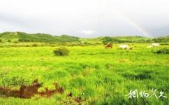 赤峰烏蘭布統草原旅遊攻略之雨後美景