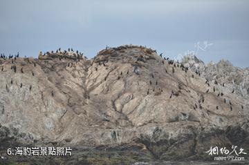 美國17里灣-海豹岩照片