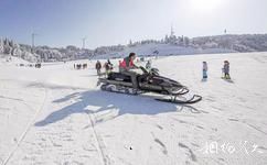 豐都南天湖旅遊攻略之藍天滑雪場公園