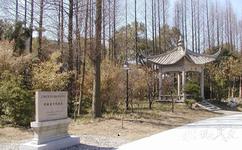上海亭林遺址公園旅遊攻略之亭林古文化遺址