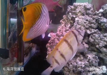 台北海洋生活馆-海洋馆展览照片