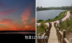 额济纳居延海景区驴友相册