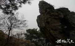 安庆莲洞国家森林公园旅游攻略之龙啸石