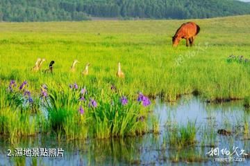 敦化大石頭亞光湖國家濕地公園-濕地照片