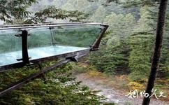 加拿大卡皮拉諾弔橋公園旅遊攻略之玻璃觀景台