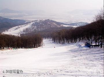 森工平山旅游区-神鹿滑雪场照片