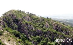 大連金龍寺國家森林公園旅遊攻略之山頂