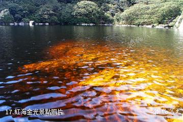 冕寧靈山風景區-紅海金光照片