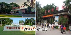 中科院華南植物園驢友相冊