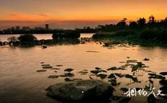 广州海珠湿地公园旅游攻略之金色池塘