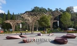 思茅梅子湖公園驢友相冊