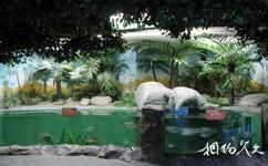 青岛水族馆旅游攻略之淡水生物馆