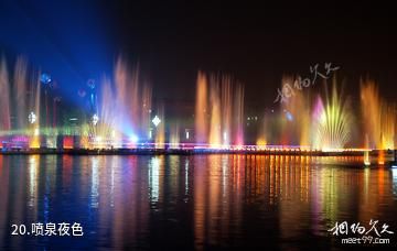 胶州三里河公园-喷泉夜色照片