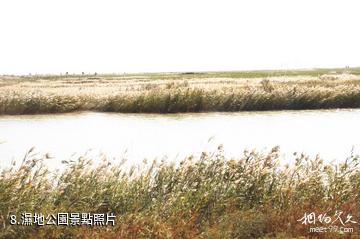 濱州市黃河三角洲生態文化旅遊島-濕地公園照片