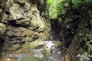 广西百崖槽风景区照片