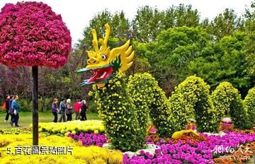 登封大熊山仙人谷景區-百花園照片