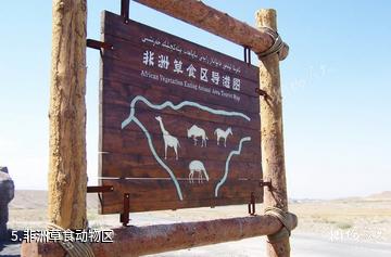 新疆天山野生动物园-非洲草食动物区照片