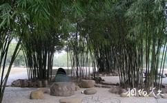 南寧獅山公園旅遊攻略之竹文化景區