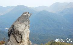 郴州九龙江国家森林公园旅游攻略之神龟啸天