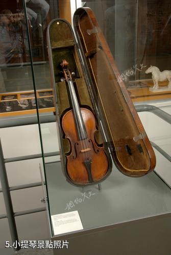 丹麥卡爾·尼爾森博物館-小提琴照片