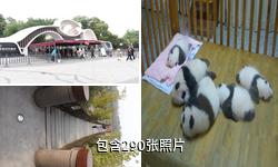 成都大熊猫繁育研究基地驴友相册