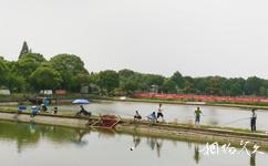 上海金龜島漁村旅遊攻略之水上娛樂