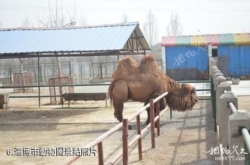 淄博玉黛湖生態鄉村莊園-淄博市動物園照片