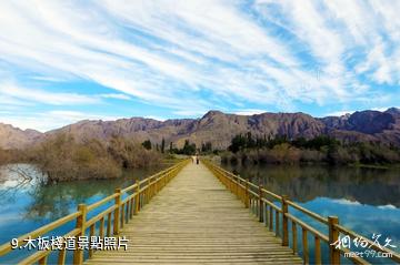 新疆烏什沙棘林濕地公園-木板棧道照片