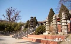 枣庄甘泉禅寺旅游攻略之千年银杏树